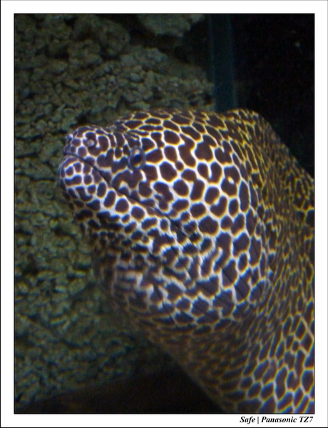 2009   08   Kho samui 37